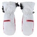 Dakine Winter Gloves Avenger Gore-Tex Mitt (Mitten, Waterproof) Glacier White Kids