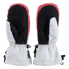 Dakine Winter Gloves Avenger Gore-Tex Mitt (Mitten, Waterproof) Glacier White Kids