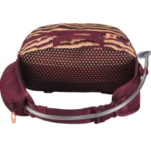 Dakine Waist Bag Hot Laps Hip Bag 5 Litre OCHRE STRIPE/PORT burgundy