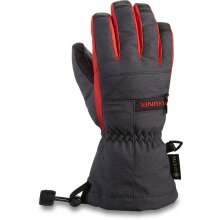 Dakine Winter Gloves Avenger Gore-Tex (waterproof) carbon grey Kids