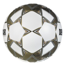 Derbystar Football Brilliant APS v24 (Top Match Ball, FIFA Quality Pro) white/gold