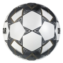 Derbystar Football Brilliant TT v24 (Training Ball) white/silver - 1 Ball