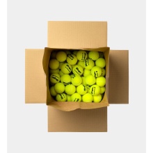 Dunlop Tennis Balls Fort Xtra Life (pressureless, specially for Slinger Ball Machine) - 72 pieces