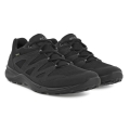 ECCO Hiking Shoes Terracruise LT Low GTX - waterproof, lightweight and flexible sole - black Men