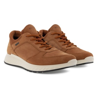 ECCO Sneaker Exostride M Low GTX (waterproof, breathable) cognac brown Men