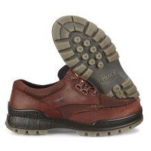 ECCO Track 25 Low GTX Walking Shoes (Casual Shoes, Leather, Waterproof) Brown Men