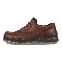 ECCO Track 25 Low GTX Walking Shoes (Casual Shoes, Leather, Waterproof) Brown Men