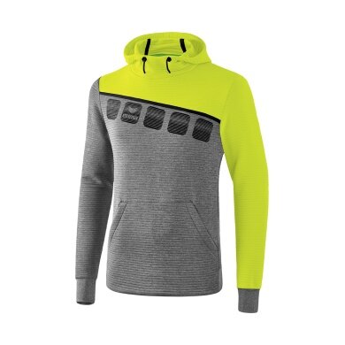 Erima Hoodie 5-C grey/green/black Men