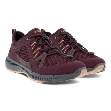 ECCO Hiking Shoes Terracruise ll W TEX GTX (waterproof, durable sole) burgundy Women