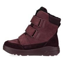 Ecco Winter Boots Urban Snowboarder GTX (Nubuck leather, waterproof) plum Children