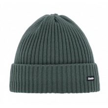 Polar Bear Winter Hat (Beanie) Ribbed Dark Green Men