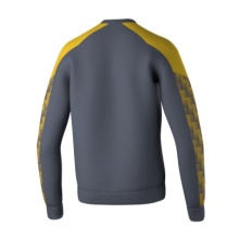 Erima Pullover Evo Star Sweatshirt (high wearing comfort) grey/yellow Kids