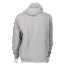 Fila Hoodie Laban grey mottled Men