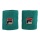 Fila Sweatband East green 2-pack