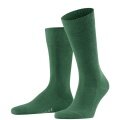 Falke Day Sock Family New (sustainable cotton comfort) dark green Men - 1 Pair