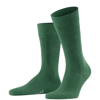 Falke Day Sock Family New (sustainable cotton comfort) dark green Men - 1 Pair