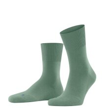 Falke Day Sock Run Crew Allround (ultra-light plush sole) sage green - 1 pair