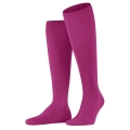 Falke Knee Socks ClimaWool (moisture-regulating, Merino wool) berrypink Men - 1 Pair