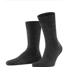 Falke Daily Sock Crew Carpet in Shoe (climate-regulating Merino wool) anthracite grey Men - 1 Pair