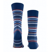 Falke Day Sock Crew Microblock (stylish elegant look, cotton) royal blue/multicoloured Men - 1 Pair