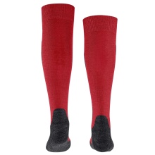 Falke Active Ski Knee Socks (warming merino wool) burgundy children - 1 pair