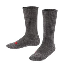 Falke Day Sock Active Warm (warming Merino wool) asphalt grey Children - 1 Pair