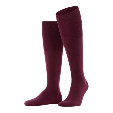 Falke Airport Knee-High Socks (climate-regulating, skin-friendly) burgundy Men - 1 Pair