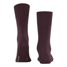 Falke Daily Sock ClimaWool (Merino wool, moisture-regulating) burgundy Men - 1 Pair