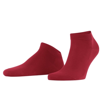 Falke Daily Sock ClimaWool Sneaker (moisture-regulating, Merino wool) red Men - 1 Pair