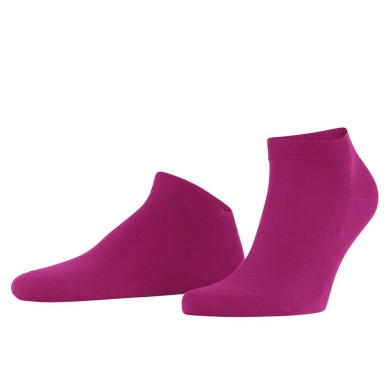 Falke Daily Sock ClimaWool Sneaker (moisture-regulating, Merino wool) berrypink Men - 1 Pair