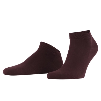 Falke Daily Sock ClimaWool Sneaker (moisture-regulating, Merino wool) burgundy Men - 1 Pair