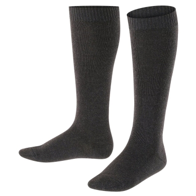 Falke Daily Sock Comfort Wool Knee Socks (warming Merino wool) anthracite grey Children - 1 Pair