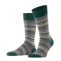 Falke Day Sock Crew Microblock (stylish elegant look, cotton) hunter green/multicoloured Men - 1 Pair