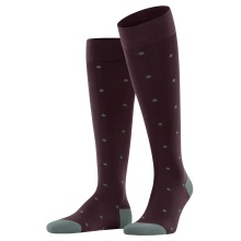 Falke Day Sock Dot Knee Socks (Business Knee-High Socks, Soft Cotton) Burgundy Men - 1 Pair