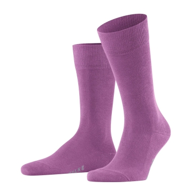 Falke Daily Sock Family New (sustainable cotton comfort) purple Men - 1 Pair