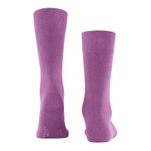 Falke Daily Sock Family New (sustainable cotton comfort) purple Men - 1 Pair