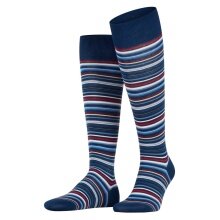 Falke Knee Socks Microblock (Cotton) blue/multicoloured Men - 1 Pair