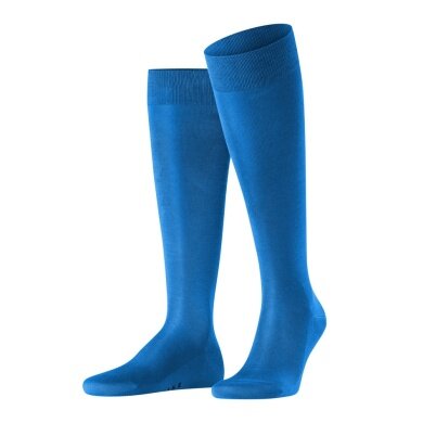 Falke Daily Sock Tiago (Comfort in Everyday Work) knee-length sapphire blue Men - 1 Pair