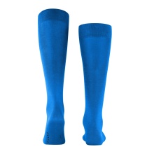 Falke Daily Sock Tiago (Comfort in Everyday Work) knee-length sapphire blue Men - 1 Pair