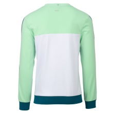 Fila Pullover (Jumper) Manu green Men