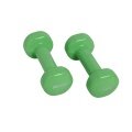 Schildkröt Fitness Dumbbells Vinyl (Iron/PVC) green Set 2x1,0kg