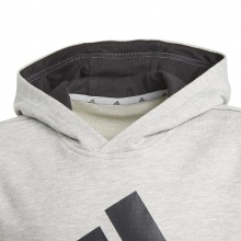 adidas Hoodie Big Logo grey Boys