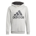 adidas Hoodie Big Logo grey Boys