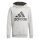 adidas Hoodie Big Logo grey Boys