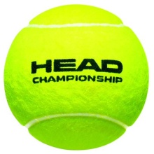 Head Tennis Balls Championship Can <b>36x4 in a box</b>