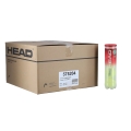 Head Tennis Balls Championship Can <b>36x4 in a box</b>