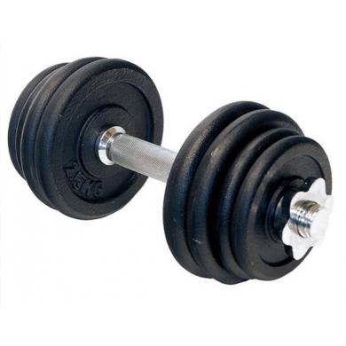 HMS Fitness SG04 Dumbbell with Thread 15kg - 1 piece