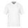 Head Tennis Polo Performance 2024 (Polyester Jacquard, quick-drying) white Men