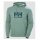 Helly Hansen Logo Hoodie (Organic Cotton) Light Green Men