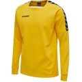 hummel Sport Long Sleeve Shirt hmlAUTHENTIC Training Sweat (Cotton/Polyester Blend) Yellow Men